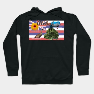 Aloha! Hawaii State Flag and State Symbols Hoodie